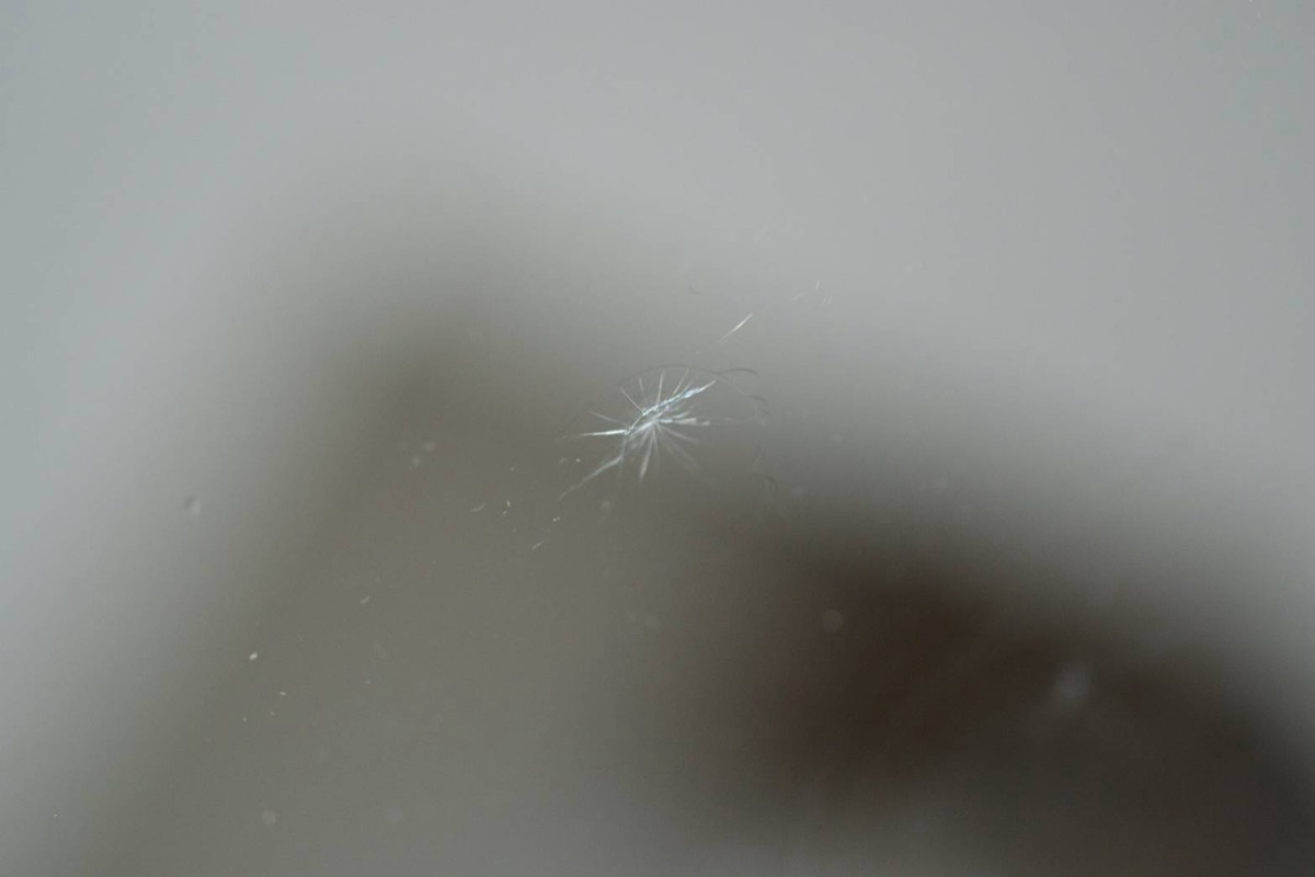 飛び石によるヒビ 修理後